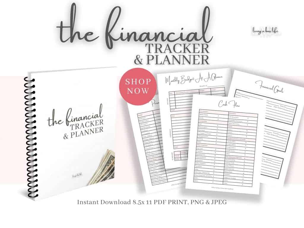 Have you been looking for a way to track your finances and plan your future? Look no further!Grab The Financial Tracker & Planner and set your money goals, financially plan, track savings, cash flow, debt and so much more!This 36-page Financial tracker/ planner prints at 8.5x11, unlimited access means you can print again and again.7 sections include trackers in:-personal information-finances overview-monthly tracking-tracking sheets-financial goals-savings & challenges-vision boardWorksheets include:-personal information-banking information-special date tracker-password tracker-cash flow tracker-net worth tracker-monthly fixed bills-monthly bills calendar-monthly payments tracker-monthly budget at a glance tracker-monthly budget tracker-income tracker-account tracker-expense tracker-cheque tracker-debt tracker-spending tracker-and much more!