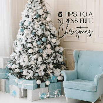 5 Tips To A Stress Free Christmas! The holidays can be hard but they don't have to be, use these tips to make the most out of this holiday season!